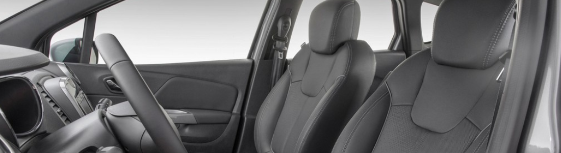 Dedetização veicular em Diadema  24 HORAS